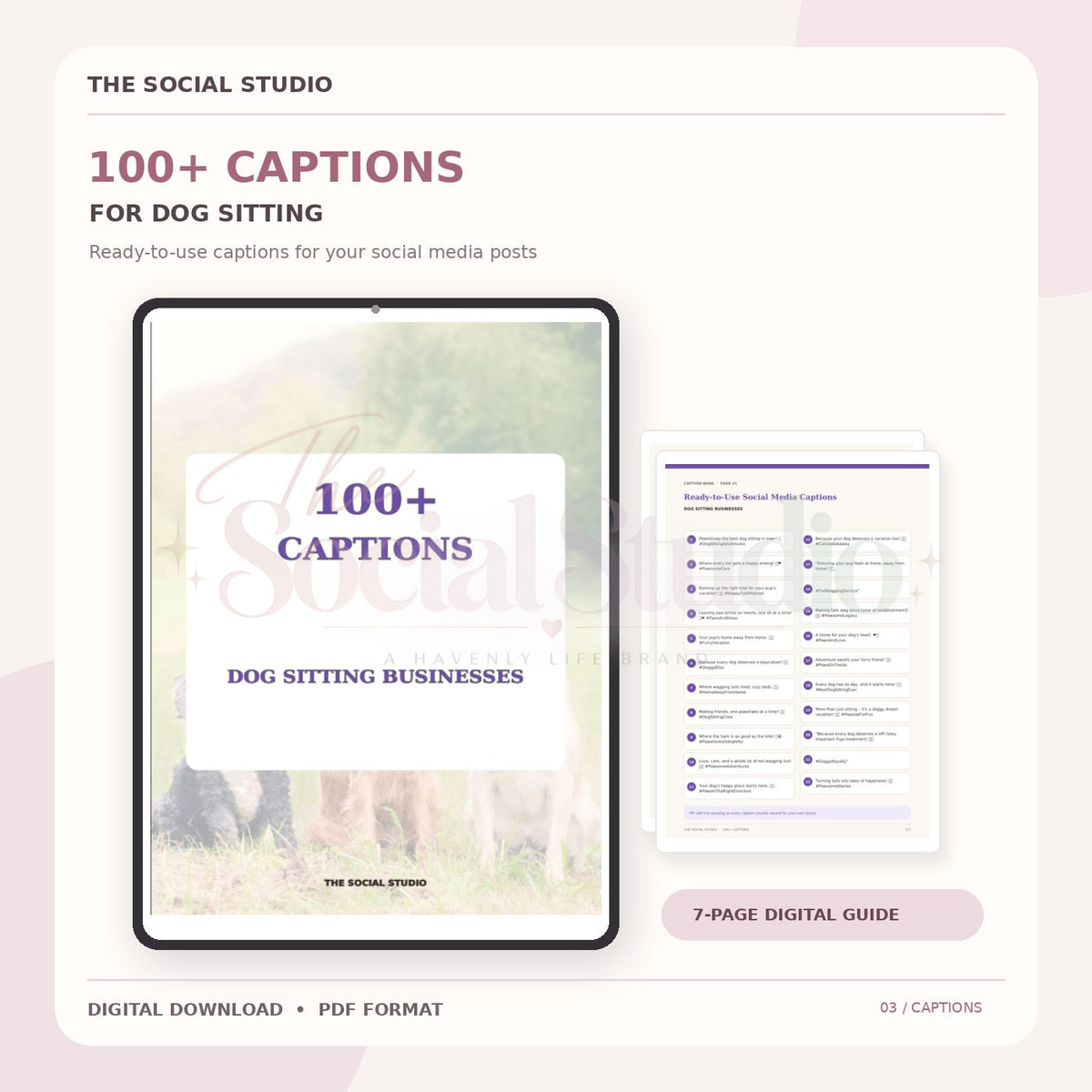 Dog Sitting Business – Caption Pack | The Social Studio