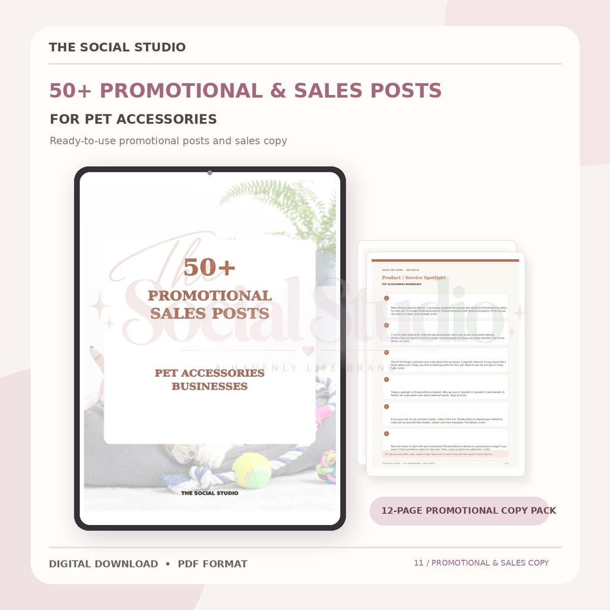Pet Accessories – Promotional & Sales Post Templates | The Social Studio