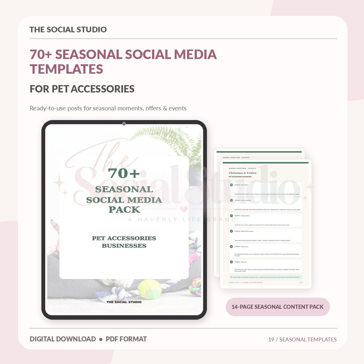 Pet Accessories – Seasonal Social Media Pack | The Social Studio